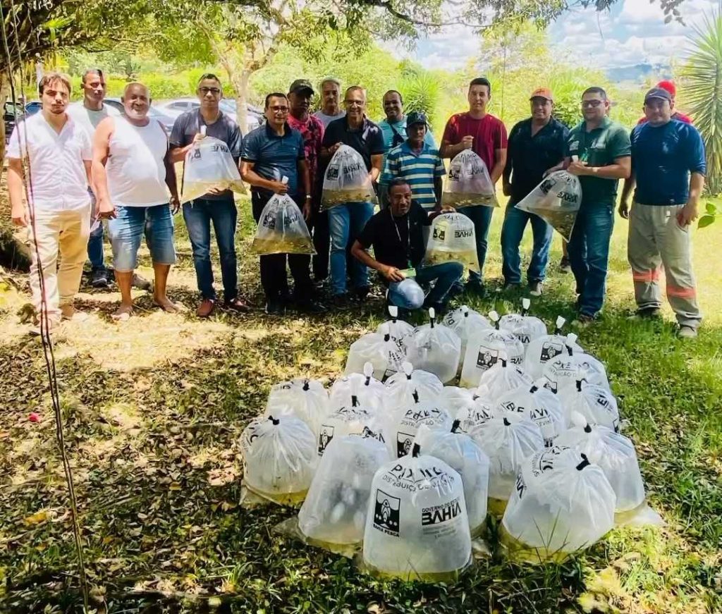 Camacã: Prefeitura entrega 30 mil alevinos da espécie Tambaqui e Tilápia para agricultores