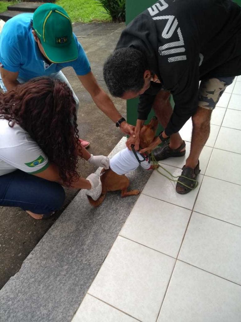 Campanha de Vacinação antirrábica foi tranquila e produtiva em Camacã