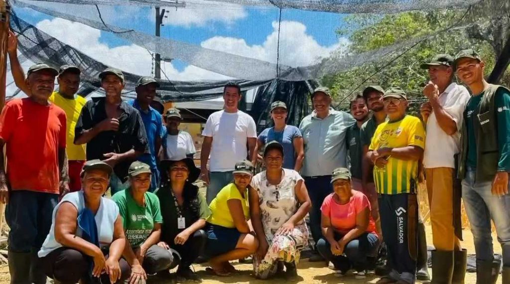 Camacã: Prefeitura de Camacã e SENAR implantam viveiro de mudas de cacau na Comunidade Entre Rios