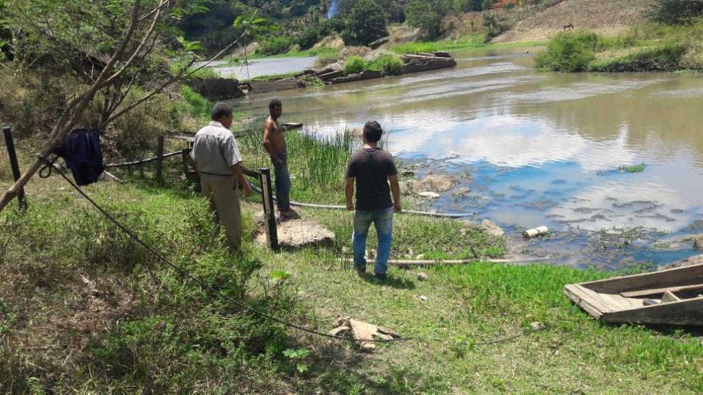Secretaria de Agricultura afirma que mortandade de Peixes no Rio Pardo não procede do Km 25