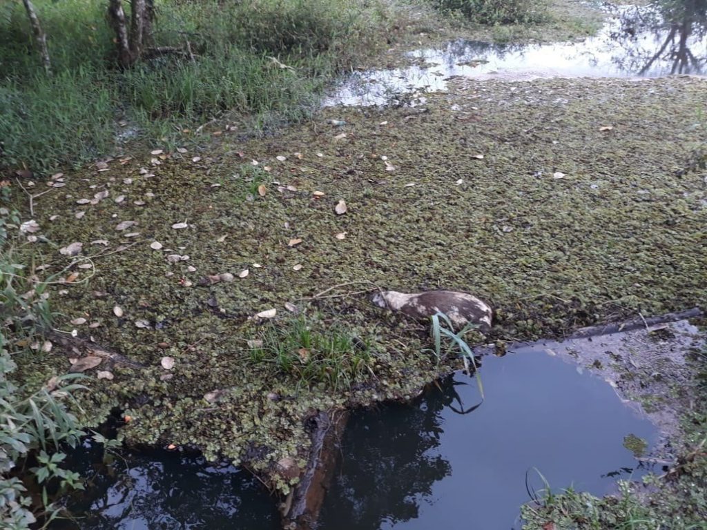 Camacã: Prefeitura Notifica embasa