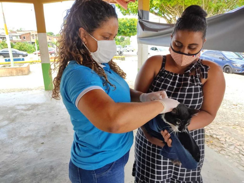 Camacã: Prefeitura realiza campanha de Vacinação antirrábica
