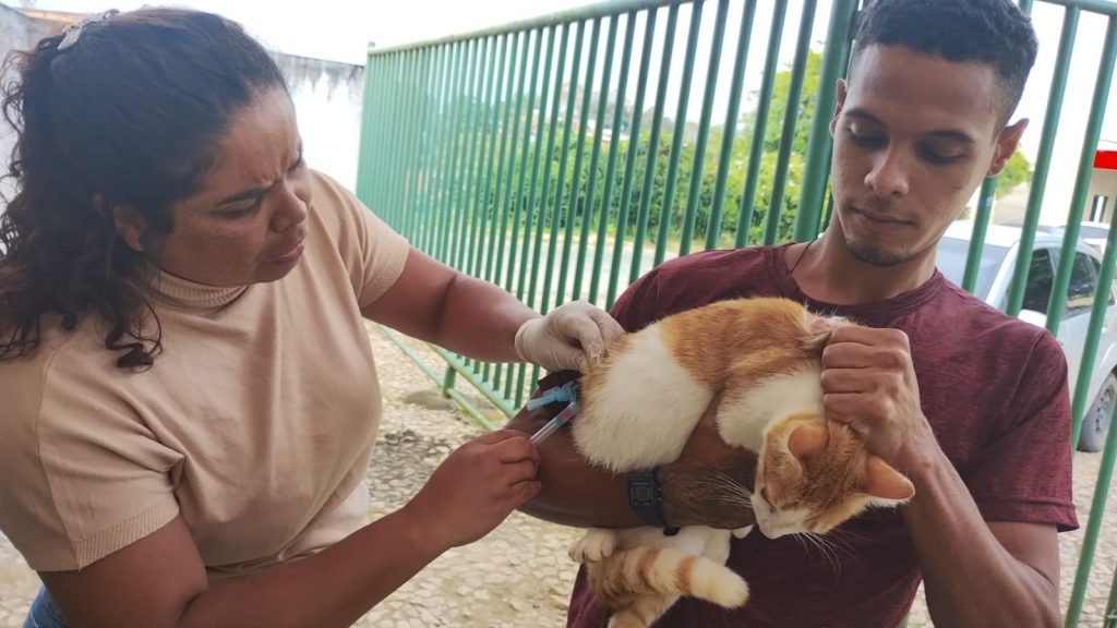 Camacã: Secretaria de Saúde realiza vacinação antirrábica